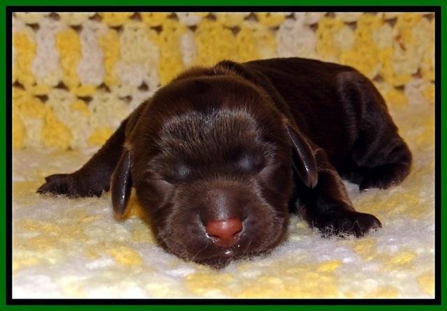 TH newborn individual 151