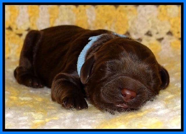 TH newborn individual 311