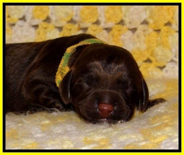 TH newborn individual 261