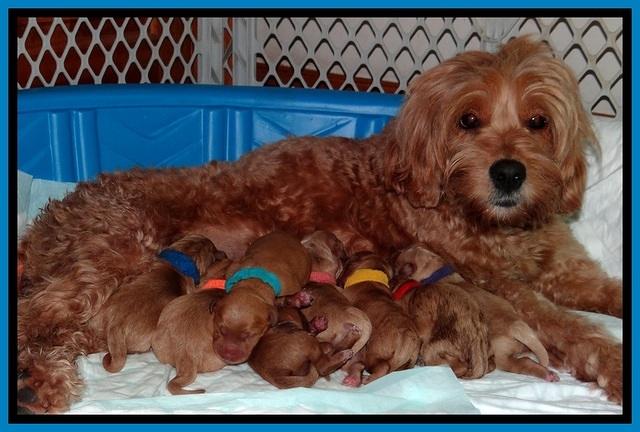 TB newborn group 61
