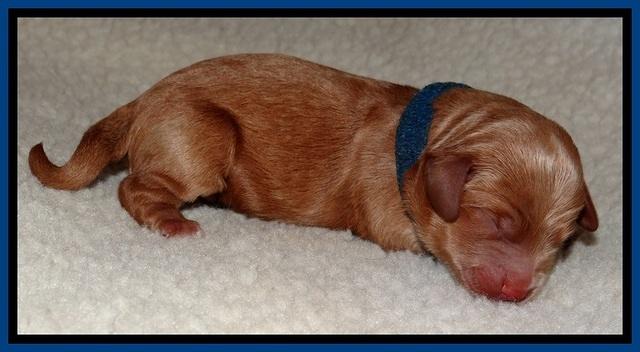 TB newborn  2 1