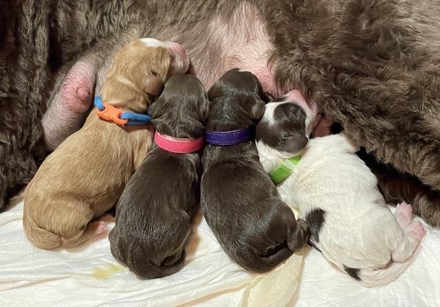 76247D47-739A-47E4-958E-878E2A3708A1