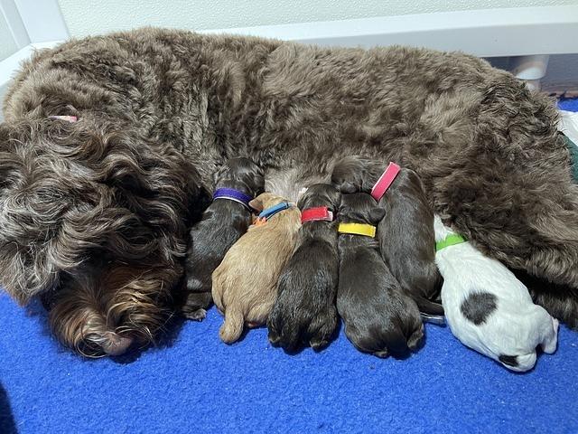 89C2821A-9203-4FE4-9B06-B011E86C0684