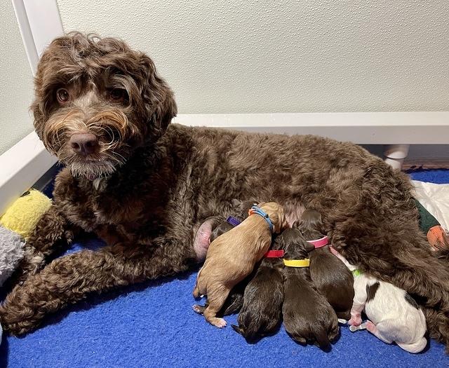 E1FF37C6-0E7B-4E95-B5A2-DBAA24C3772D