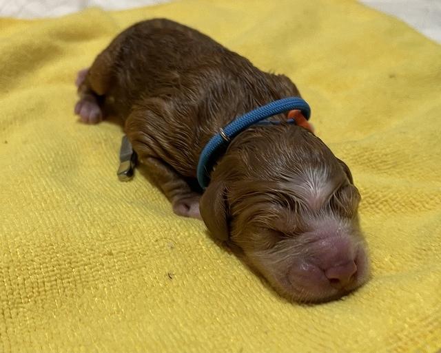 B17C54C0-2E6A-4E7B-B654-317077C51ECD