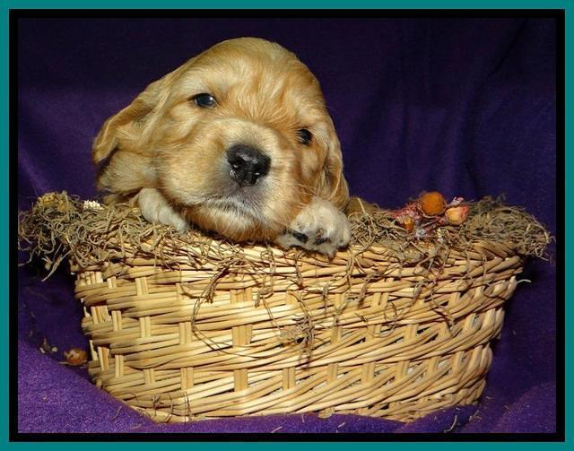 teal 3 wks (9)