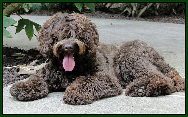 Xana summer 2013 pool