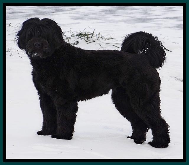 Snow day 2014 January 026