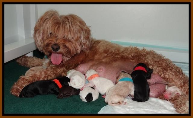 Jolie Tex Marco group pics