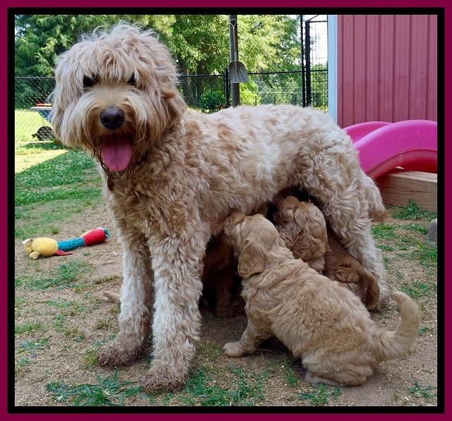 FullSizeRender.jpg 3