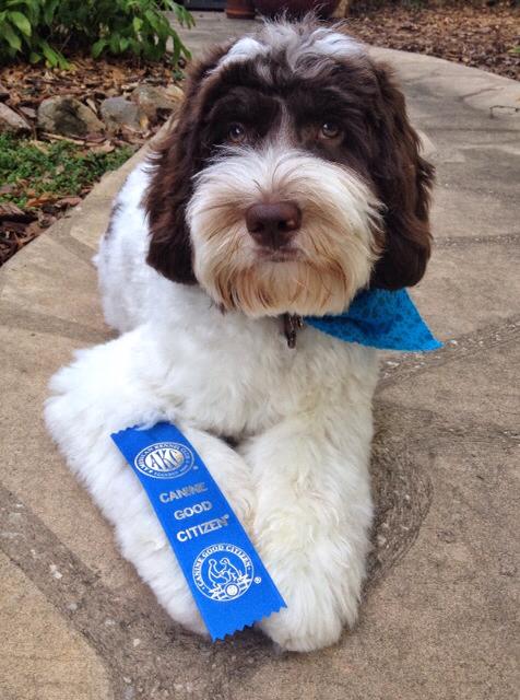 Duke good citizen