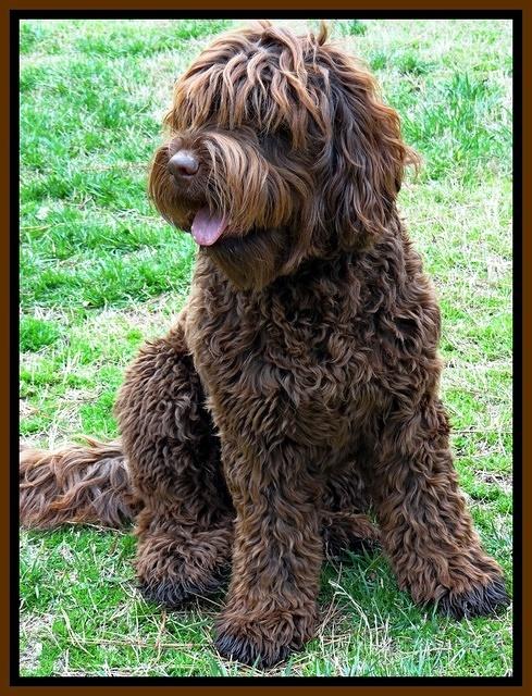 Liza 2 years old sit