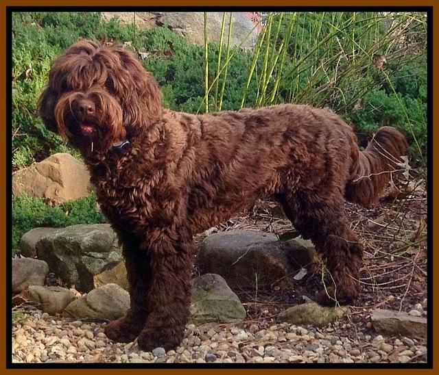 Liza Feb 2015 stand pool