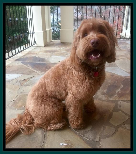 Flicker 14 mos old 4