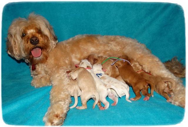 Julip Talon newborn pics 201