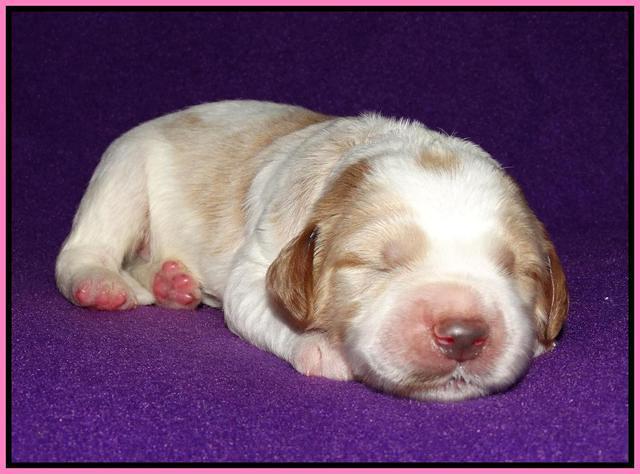 Noelle Dempsey 1 wk old 81