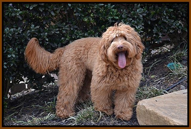 Flicker March 2015 smile