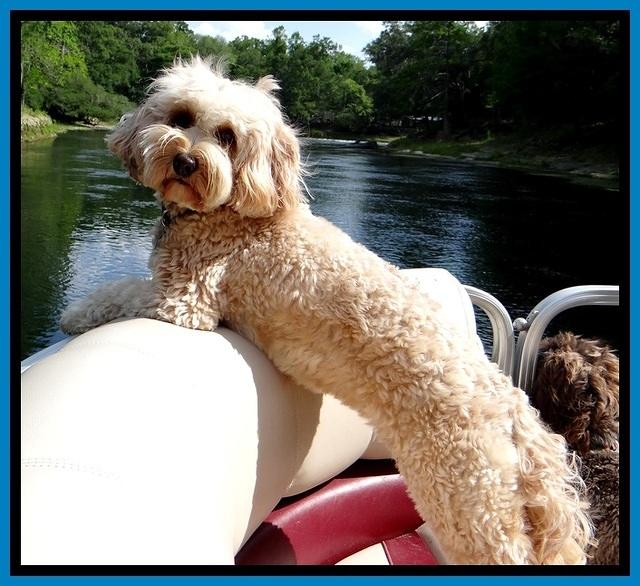 Sky boating with friends june 12