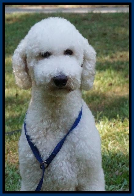 Pitch sit Aug 30 2016 11