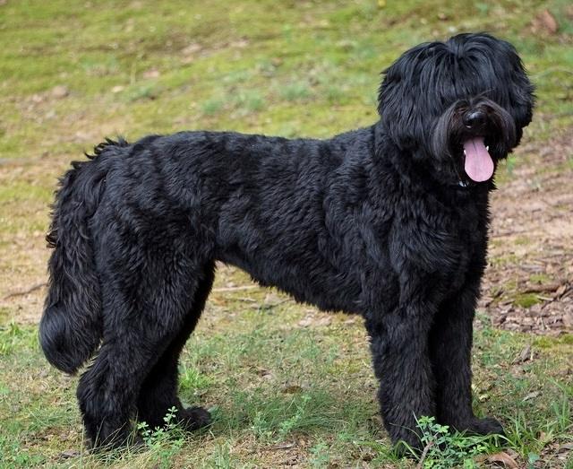 Bess Ivory Paris Aug 13 15 31