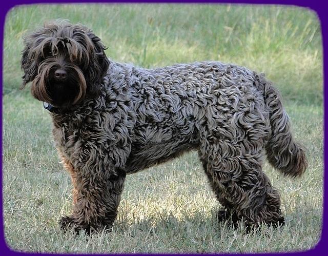 Cherie 10 2011 stacked