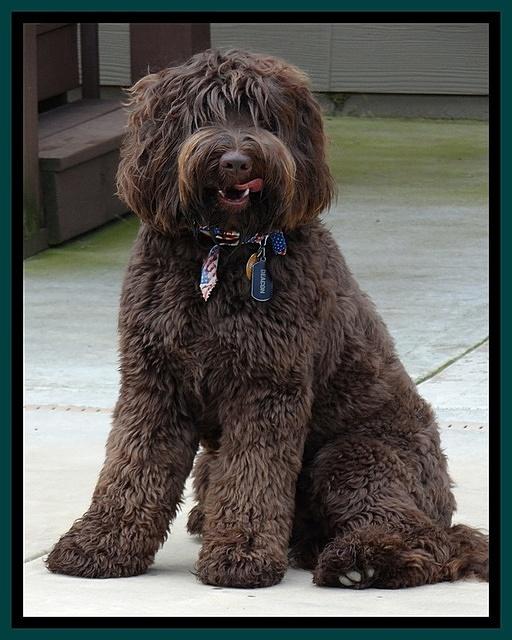 Deacon Aug 1 2014 51