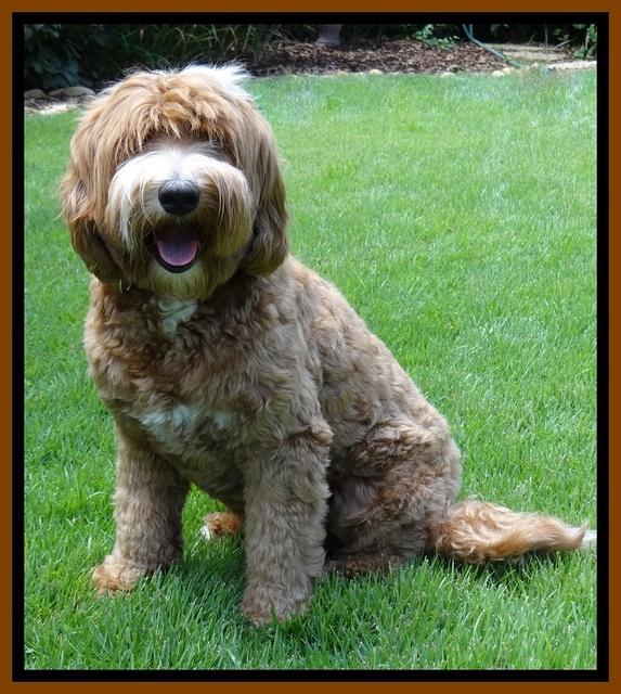 Ellie Mae 19 mos old july 2015 31