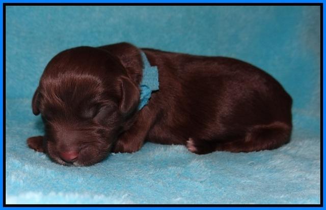 Fanny AJ Newborn 191