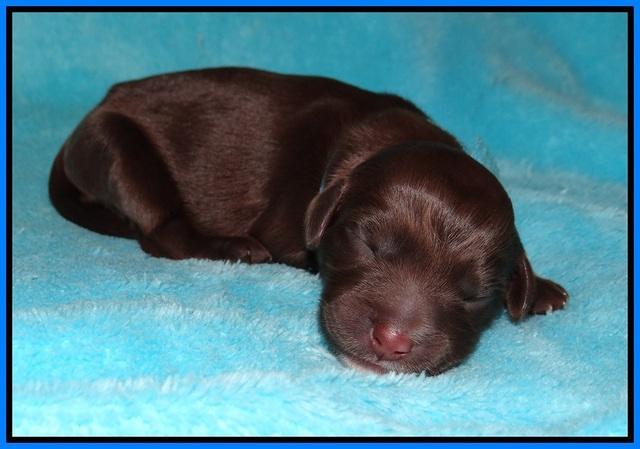 Fanny AJ Newborn 201