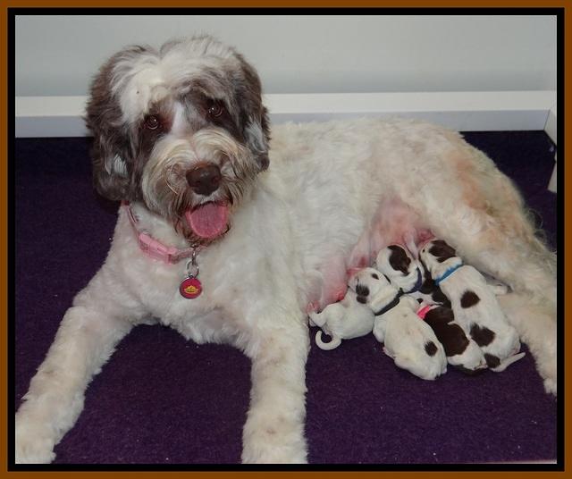 Fanny AJ Newborn 211