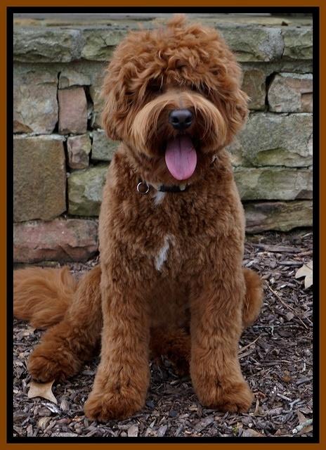 Parson new groom Jan 2017