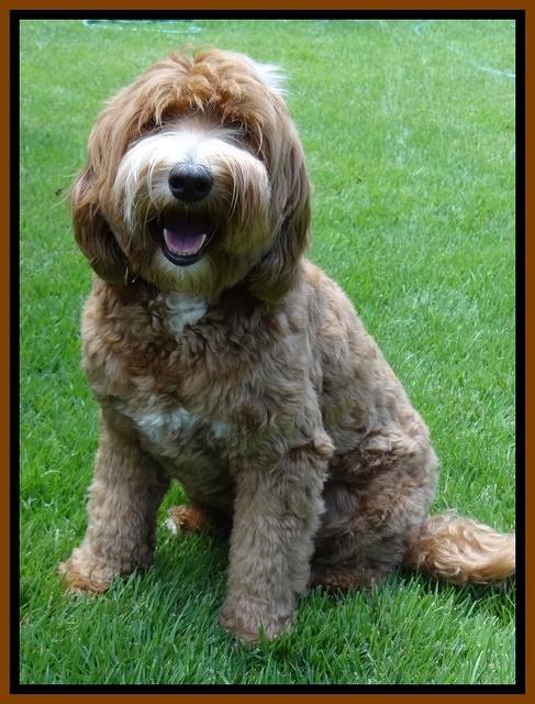 Ellie Mae 19 mos old july 2015 21