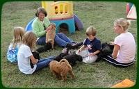 AH pups 6 wks old 33