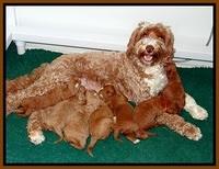 Group Photos