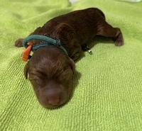 33EFB078-6B33-490B-A61D-C2FAF598EA5C