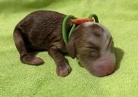 0EB1AC50-E25A-41B7-A1FB-B4A4F948439B