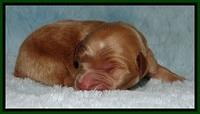 BT 2 days old 151