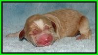 BT 2 days old 391
