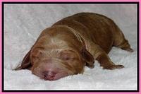 BT 2 days old 711