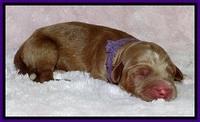 BT 2 days old 771