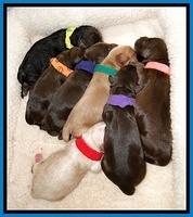 CB newborn group 3