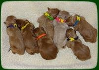 Prim Benz Newborn pics 161