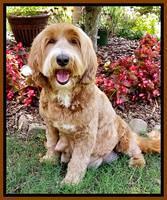 Ellie Benz spa day 2