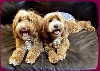 Ellie Mae Tucker honeymoon