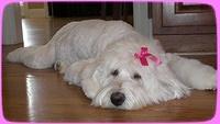 Emmie is winking at you