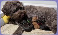 Gigi and Traveler Newbon group photos 61