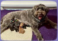 Gigi and Traveler Newbon group photos 91