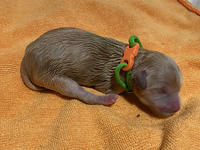 8CDB45BA-1ADE-4CED-B37B-13DAB0831324