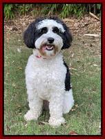 Checkers sit smile 1 yr old