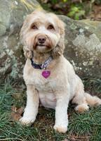 Hunnie spa day 58 preg 1